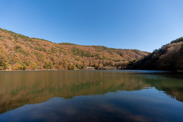 紅葉の四尾連湖