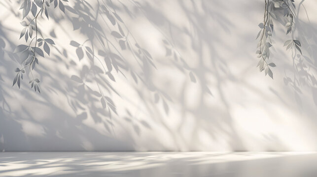Minimalistic light background with blurred foliage shadow on a white wall. Smooth floor for presentation.