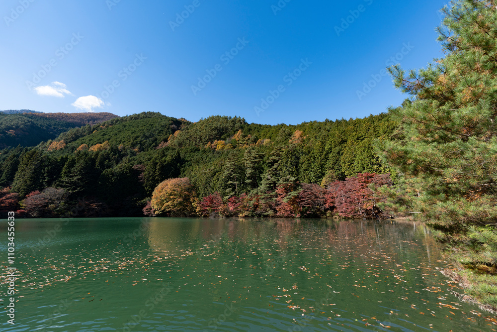 Poster 紅葉の南伊奈ヶ湖