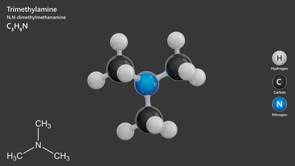Molecule: Trimethylamine. Molecular structure. Formula: C3H9N. Chemical model: Ball and stick. Gray background. 3D illustration.