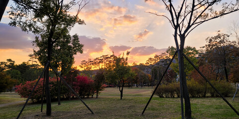 Beautiful Autumnal Garden in Gyeongbokgung Palace, with stunning sunset sky, in Seoul, Korea	
