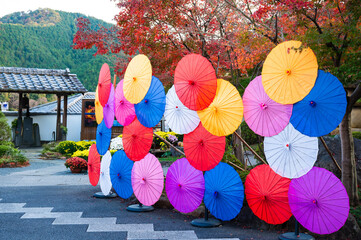並べられたカラフルな番傘 ／ 宝徳寺