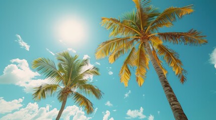 A vibrant scene of palm trees against a bright blue sky with the sun shining.