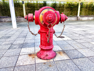 Bright red fire hydrant stands on paved area surrounded by greenery in a urban setting