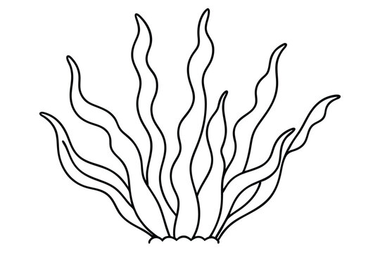 black and white seaweed drawing clip art preview