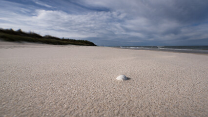 SEA COAST - A beautiful wide beach under a picturesquely cloudy sky
