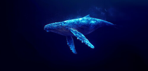 Obraz premium Captivating Underwater Beauty: Distressed Humpback Whale in Dark Blue Ocean Depths