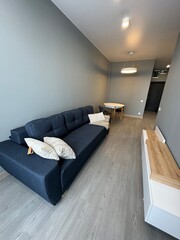 Modern living room interior with gray walls, a dark sofa, wooden furniture, and cozy lighting