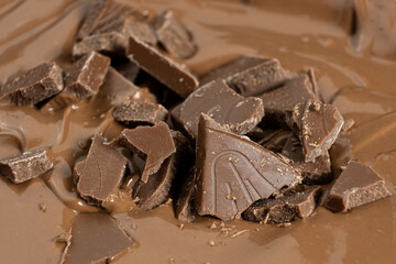 Chocolate pieces in melted milk chocolate.