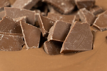 Chocolate pieces in melted milk chocolate.