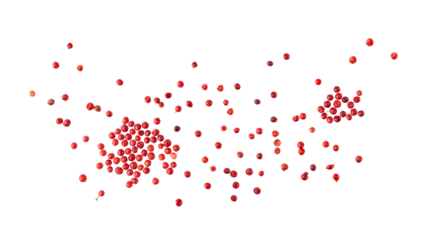 Pink peppercorn pepperberry flying isolated on white background. Aromatic spicy ingredient for cuisine.