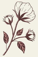 Cotton Flower Vector Drawing: Harmony of Nature and Modern Design for Your Project

