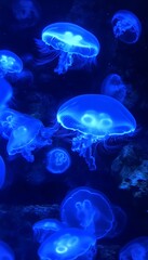 Bioluminescent Jellyfish, Glowing Jellyfish in Dark Blue Ocean Depths, Underwater Scene