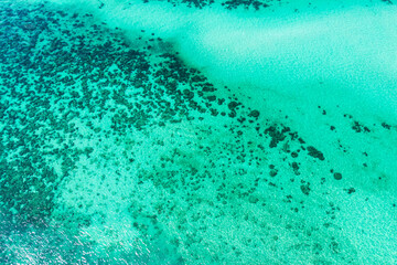 Vibrant tropical sea with coral reef in summer at Lipe Island