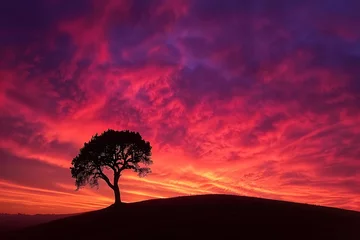 Gardinen Vibrant Sunset Sky, Solitary Tree Silhouette, Hillside Landscape © Afsheen fatima 