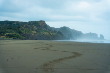 Seascape of Bethells Beach with mountain cape and wave in gloomy day at New Zealand