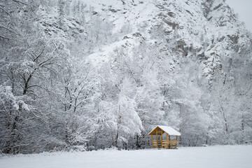 winter landscape - snow-covered deciduous trees in snowfall. natural forest. alcove