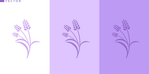 Lavender flower silhouette. Purple flower vector