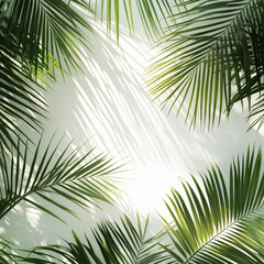 background, background for text or product, product, design and graphics.exotic plants, palm trees on a light background.