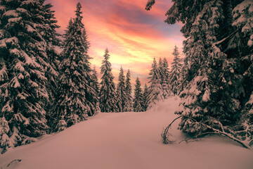 Enchanting winter scene of snow-covered trees under a fiery sunset sky. A perfect depiction of...