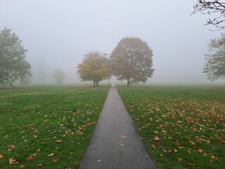 Autumn mist, The Stray, Harrogate