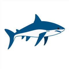 blue shark  ilustration vector