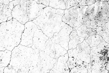 High-resolution monochrome image depicting a cracked surface texture with fine detail and subtle variations in tone.
