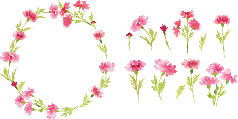 Pink carnation watercolor flower design