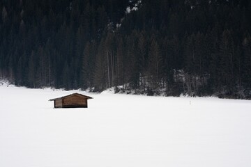 Solitary Cabin in Snowy Field