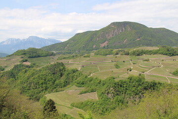 Obraz premium Meadows in the Italian Dolomites - As viewed from a slope northeast of the city of Trento
