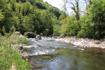 Mountain River in the Dolomites - River Avisio close to Pozzolago