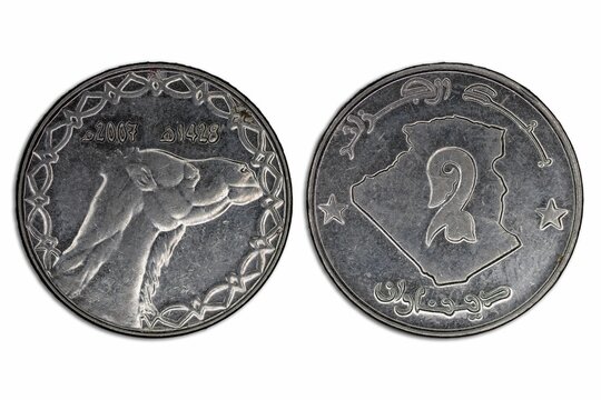 Shiny Algerian dinar coin