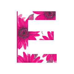 Graphic Alphabet Letter with Watercolor Sunflower Print. Hand drawn watercolor alphabet letter E with sunflowers in unusual color. Wedding, birthday, baby shower design, creative ideas