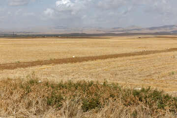 Obraz premium Expansive dry landscape in Iran showcases vast agricultural fields under a cloudy sky