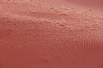 Red sand desert and landscape