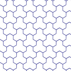 Blue and White Hexagonal Star Pattern