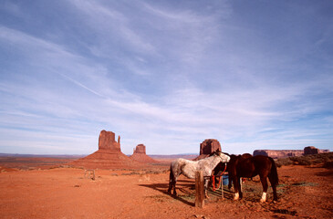 Monument Valley and Horses Navajo