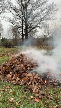 A fire made of leaves in late autumn. Autumn landscape, fire made of dry leaves.