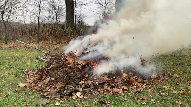 A fire made of leaves in late autumn. Autumn landscape, fire made of dry leaves.