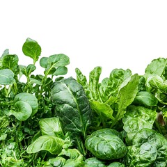 Greenhouse Crops isolated on a white background, close up