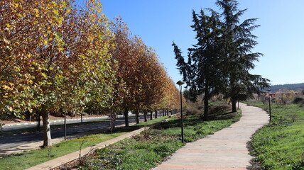 Autumn in Morocco’s Ifrane with Yellowed Maple Leaves, Red-Roofed Houses, Scenic Landscapes, Pedestrian Pathways, and Vibrant Seasonal Foliage in a Serene Countryside Setting  
