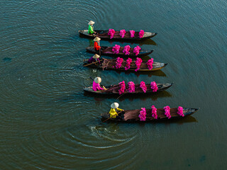  Harvesting water lilies in the floating season on Moc Hoa field, Long An.