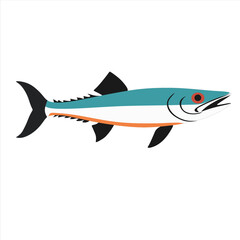 barracuda fish  ilustration vector