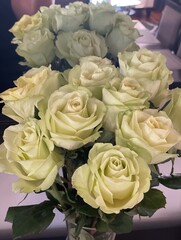 bouquet of  white roses