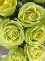white and yellow roses