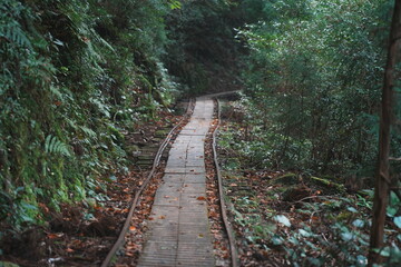 登山道　トロッコ道