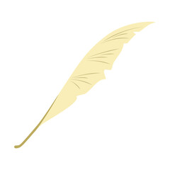 Feather Illustration