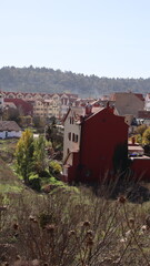 Autumn in Morocco’s Ifrane with Yellowed Maple Leaves, Red-Roofed Houses, Scenic Landscapes, Pedestrian Pathways, and Vibrant Seasonal Foliage in a Serene Countryside Setting  
