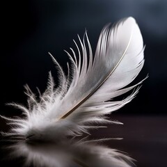 Obraz premium beautiful white feather slowly falling on dark moody background