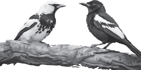 A couple black and white bird silhouette vector, eps and illustrations